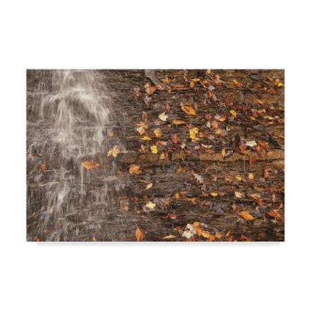 Thom Sivo 'Autumn Waterfall' Canvas Art,12x19